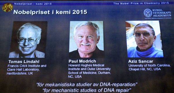 Picture 1 of Useful discoveries about DNA winning the 2015 Nobel Prize in Chemistry