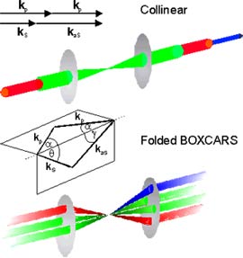 Picture 1 of Using CARS imaging techniques explore the myelin protection clues