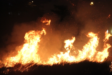 Picture 1 of Using fire to put out the fire like?