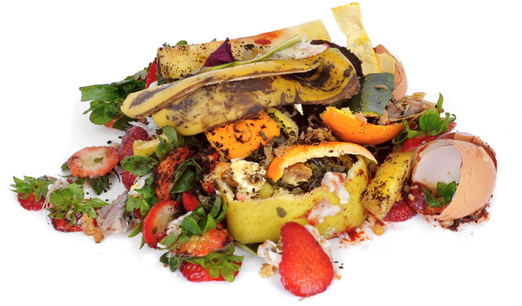 Picture 2 of Utilizing food waste - a new mission of biotechnology