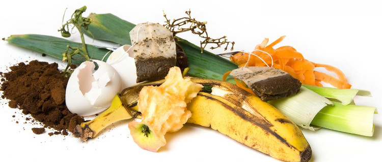 Picture 3 of Utilizing food waste - a new mission of biotechnology