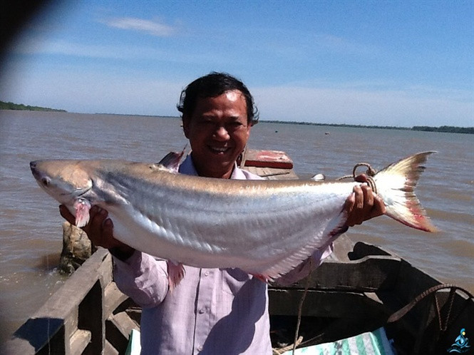 Picture 4 of Vam Nao and the interesting anecdote about the 5-legged crocodile