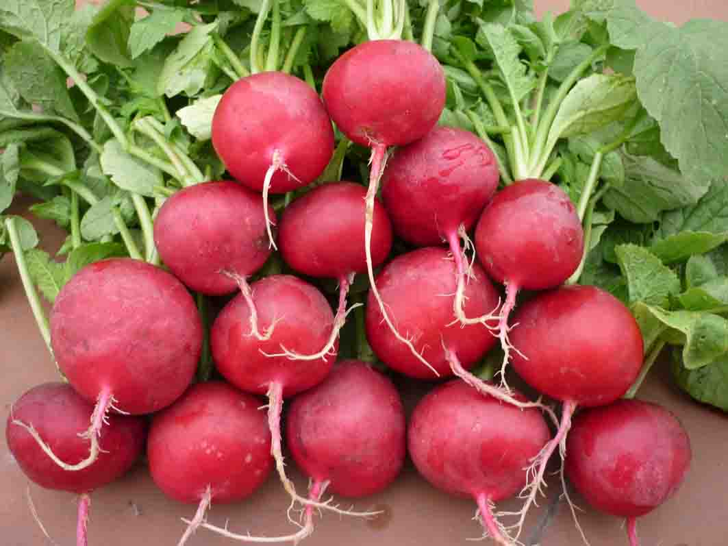 Picture 9 of Vegetables and low sugar fruits are good for health