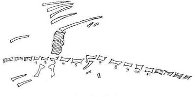 Vertebrate fossil in central Triassic limestone in Vietnam images 2