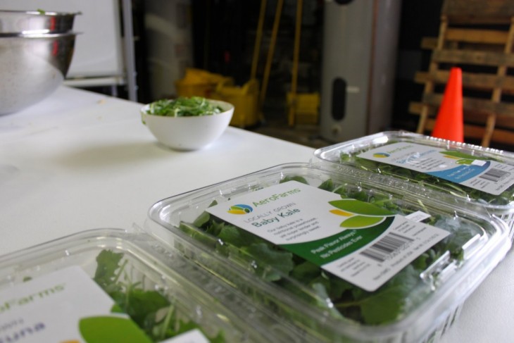 Picture 13 of Vertical farms provide 900 tons of fresh vegetables to the US every year