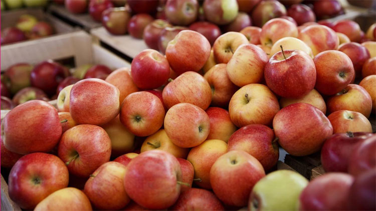 Picture 2 of Very good way to check if the apple is sprayed with toxic chemicals