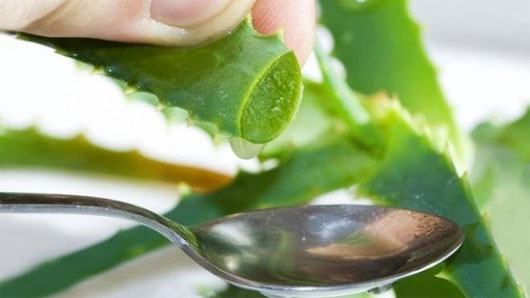 Picture 2 of Very simple ways to prevent and treat diseases you should know
