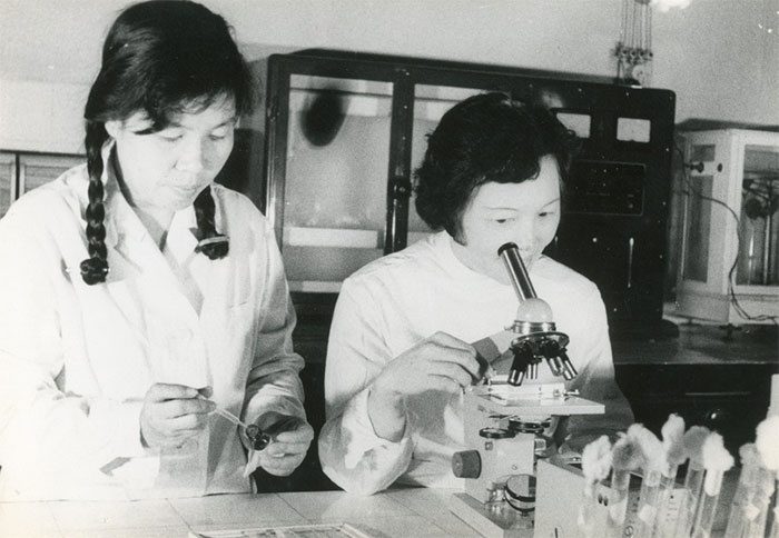 Picture 3 of Vi Kim Ngoc: A talented woman who is passionate about drawing mosquitoes