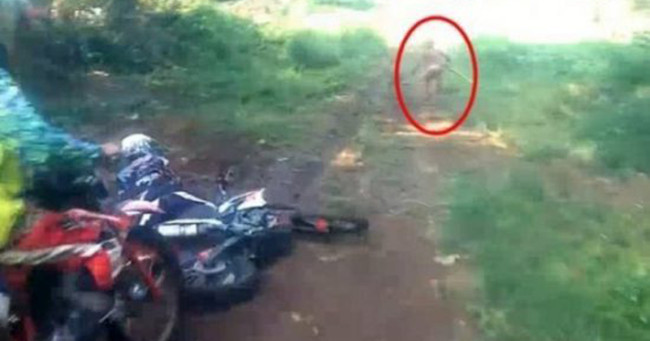 Picture 1 of Video: A dwarf was discovered and fled in the Indonesian forest