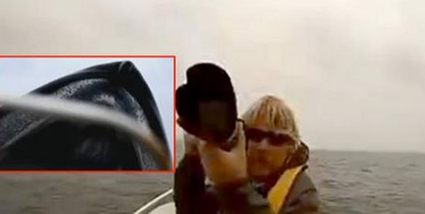 Picture 1 of Video: Blue whale wearing the whole boat jutting out of the water