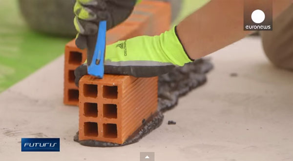 Picture 1 of Video: Building houses with bacteria