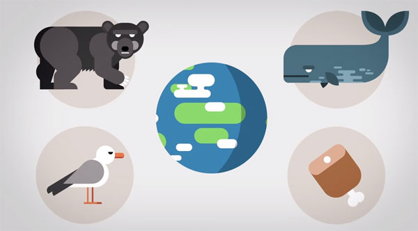 Picture 1 of Video: Discover everything about Earth