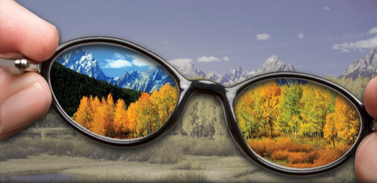 Picture 1 of Video: Glasses help colorblind people distinguish colors