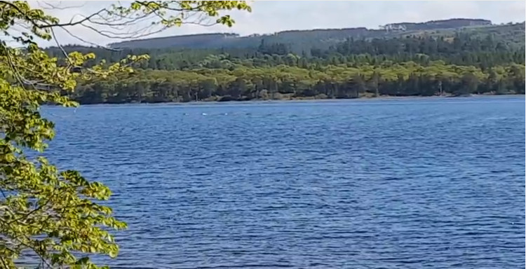 Picture 1 of Video: 'Hump back' protruding above water surface belongs to Loch Ness monster