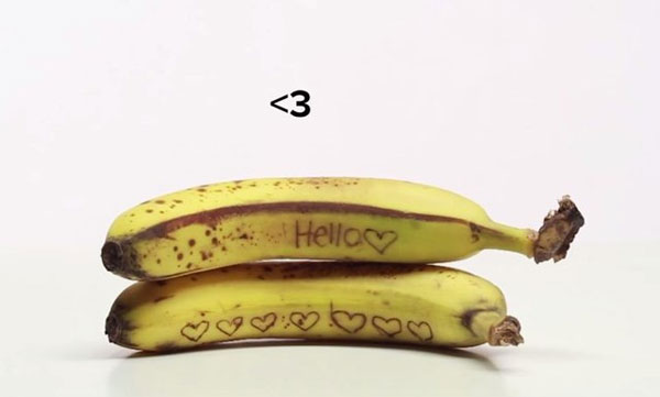 Picture 2 of Video: Interesting 'naughty' games with food