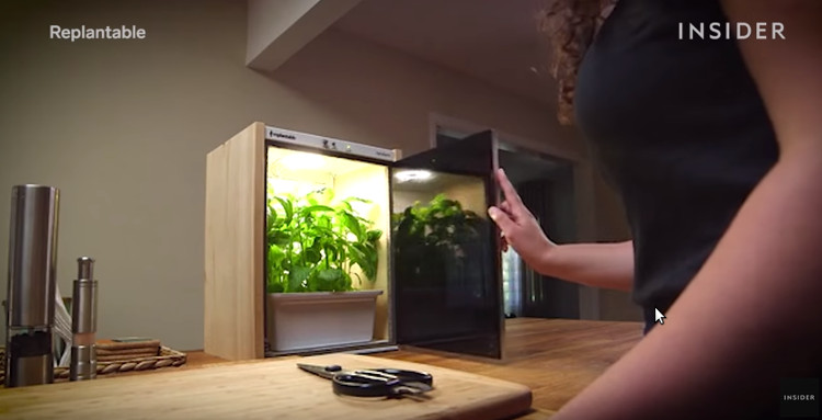 Picture 1 of Video: Mini cabinet growing vegetables without caring