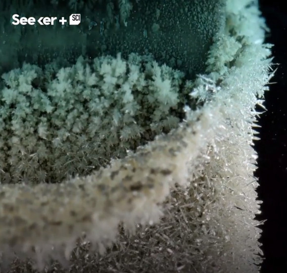 Picture 1 of Video: The beauty of metal reaction