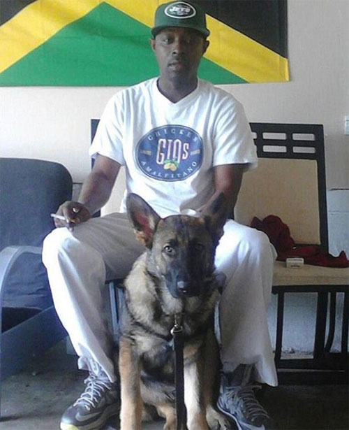 Picture 1 of Video: The dog died from the bullet for the owner