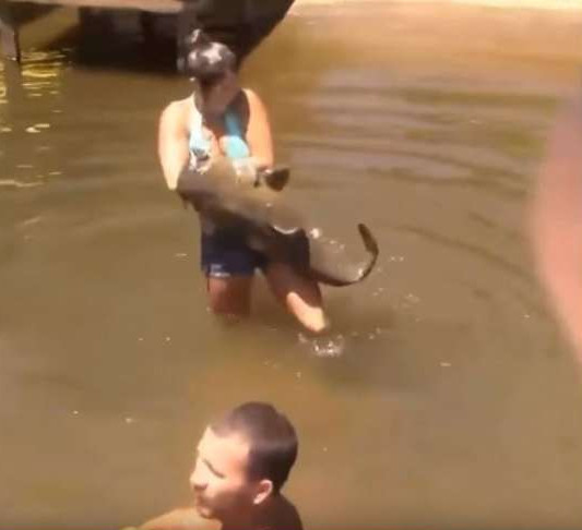 Picture 1 of Video: The girl uses her hand to catch giant catfish