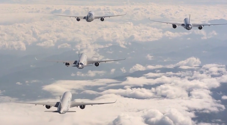 Picture 1 of Video: The reason the wing is not attached to ice