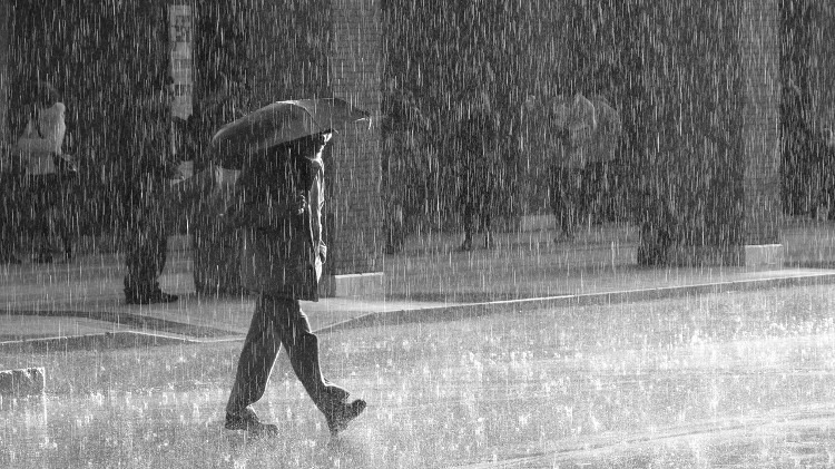 Picture 1 of Video: The secret to predict when the rain will come