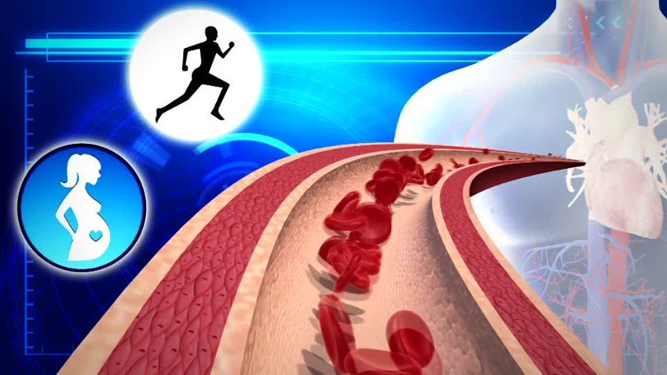 Picture 1 of Video: The type of protein that stimulates the heart to grow healthy