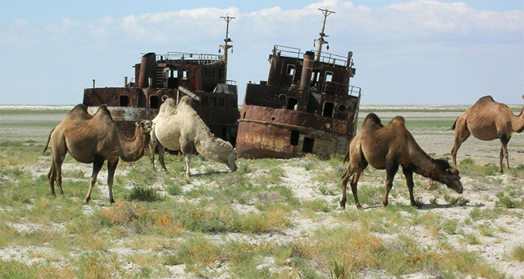 Picture 1 of Video time lapse of dryness of the Aral Sea in the past 50 years
