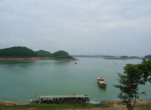 Picture 6 of Vietnam announced 7 environmental records