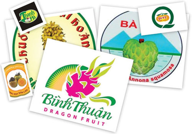 Picture 2 of Vietnam built a symbol of national geographical indications