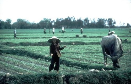 Picture 26 of Vietnam in 1980 in the photo of Dirck Halstead
