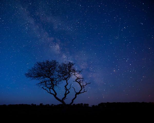 Picture 1 of Vietnam is about to watch meteor shower
