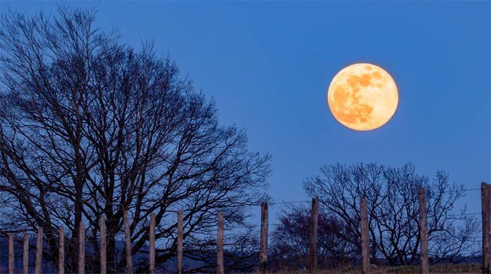 Picture 1 of Vietnam is about to welcome the second 'super moon' in 2020