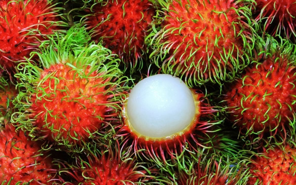 Picture 9 of Vietnam is honored to own 3 of the 10 rarest fruits in the world