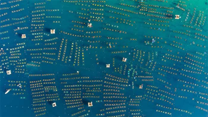 Picture 6 of Vietnam is strangely beautiful through a series of photos taken from above