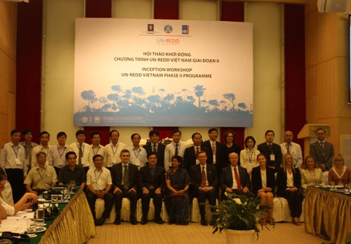 Picture 1 of Vietnam participates in reducing REDD + greenhouse gas emissions