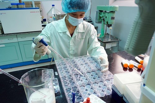 Picture 1 of Vietnam vaccines are qualified for world export