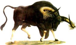 Picture 6 of Vietnamese forest animals (1)