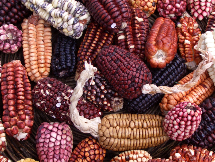 Picture 3 of Vietnamese people are proud of catching up with the trend of the world because of these superfoods
