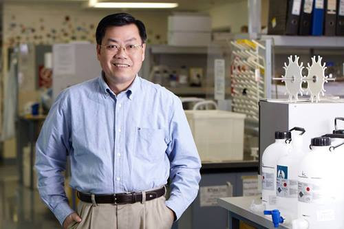 Picture 1 of Vietnamese professors are famous in Australia