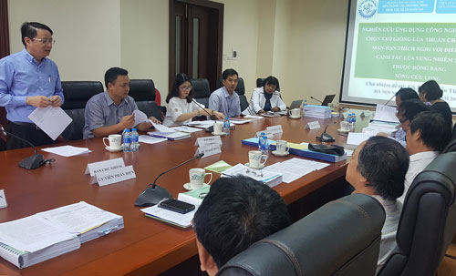 Picture 2 of Vietnamese scientist creates rice strain against stress