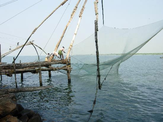 Picture 1 of Vietnam-Korea discusses experience in marine management and development