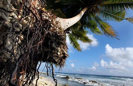 Picture 13 of Visit Maldives island paradise
