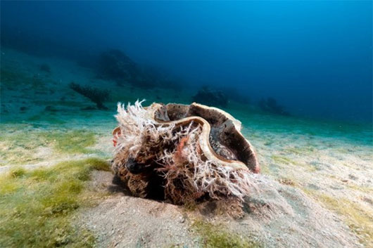 Picture 14 of Visit the 8 mysterious 'hidden places' on Earth