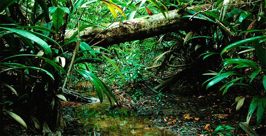 Picture 6 of Visit the 8 mysterious 'hidden places' on Earth