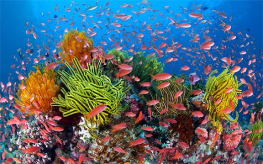 Picture 8 of Visit the 8 mysterious 'hidden places' on Earth