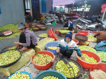 Picture 10 of Visit the famous traditional Tet jam villages in Vietnam