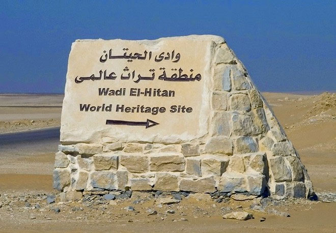 Picture 8 of Visit the fossil whale valley in Egypt