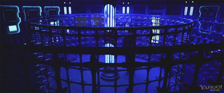 Picture 2 of Visit the 'nightmare' room where 10,000 spiders live