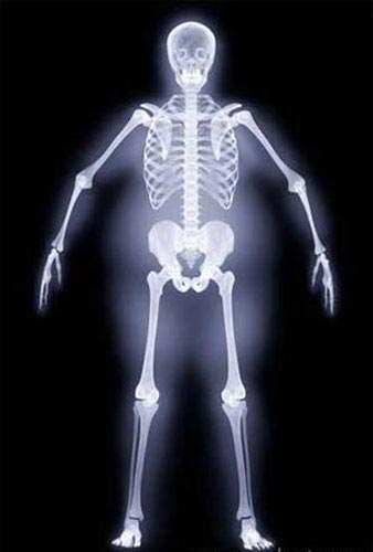Picture 1 of Vitamin A acid helps the body develop symmetrically