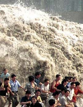 Picture 1 of VN: Warning for earthquakes and tsunamis by the farming system